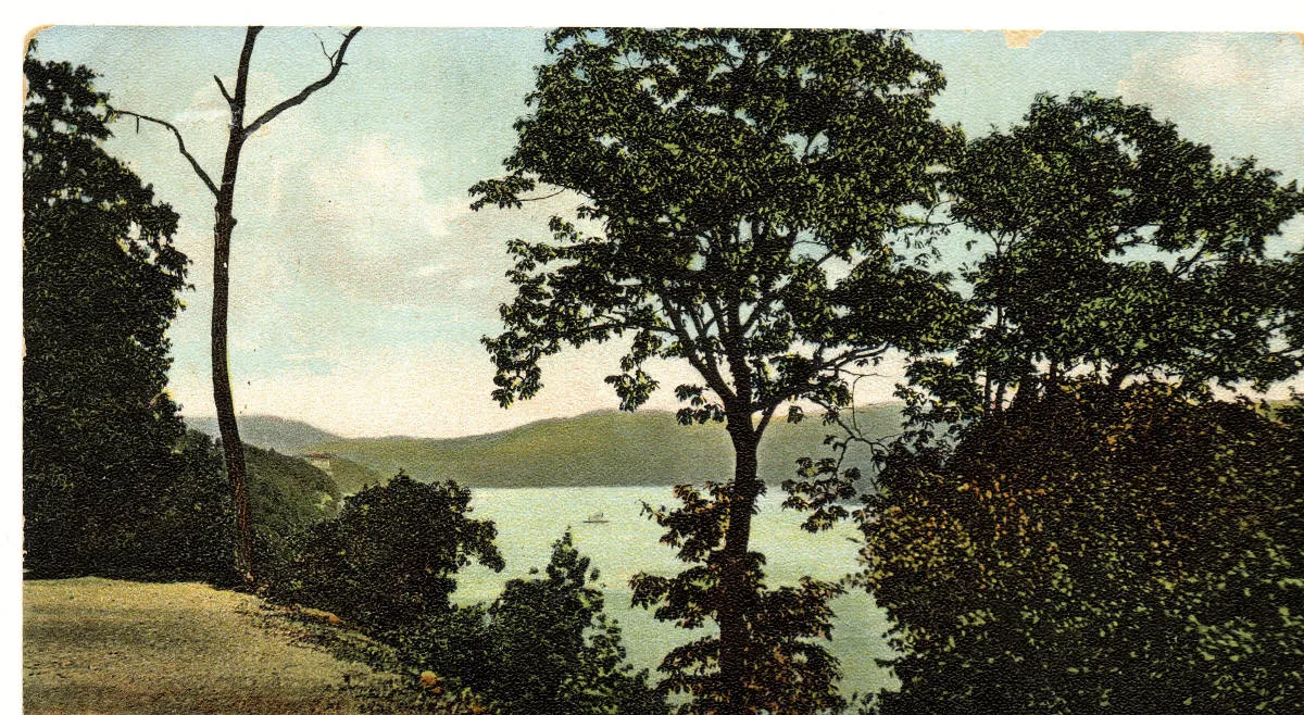 Vintage postcard: The Hudson seen through the trees